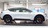 В Россию приехал новый невиданный «зверь» от Ford