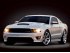 Фирма Saleen Performance Vehicles начала нынешний год с купе S302