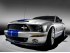 Ford выпустит ограниченную партию Shelby GT500KR