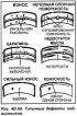 Main and connecting rod bearings