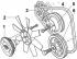 Removal and installation of a fan with a hydraulic clutch