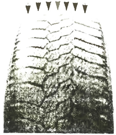 Рис. 4.4. Износ схождения. Клиновидность рисунка протектора