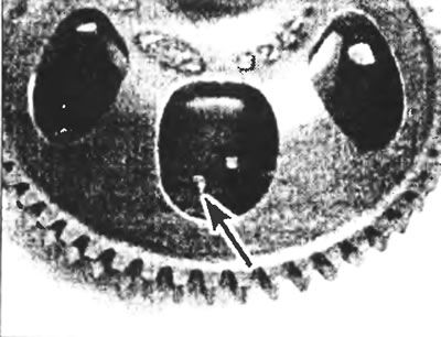 Рис. 14.8. Фиксирующий винт задней крышки насоса должен пройти через отверстие в крепежной пластине…