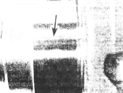 Рис.21.7. Уложите по полоске«Plasigage» на шейку коренного подшипника параллельно оси коленчатого…