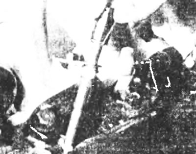 Рис. 10.17а. Вытащите форсунки из головки блока цилиндров.