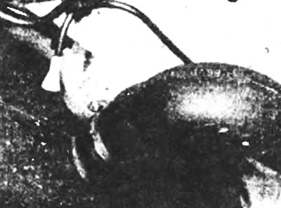 Рис. 16.5. На ранних моделях: освободив зажимы, отсоедините топливный заливной шланги и…