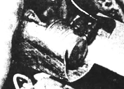 Рис. 17.2. Жаростойкий щиток топливного насоса и сам насос.