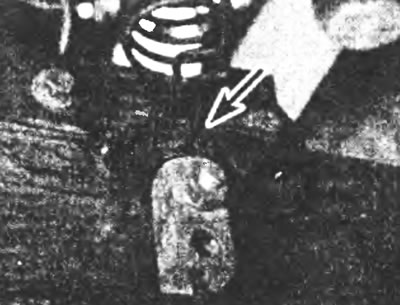 Рис. 8.5,б. На более поздних моделях вытащите нижний конец регулировочной пружины из паза в…