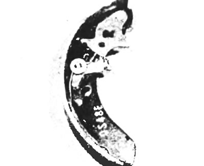 Рис. 8.17,а. Расположение саморегулировочного механизма перед установкой тормозной колодки - вид…