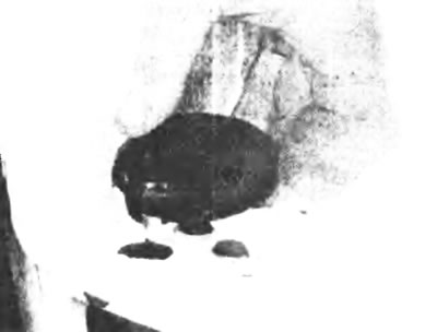 Рис. 12.19,а. Снимите круглую крышку с подножки...