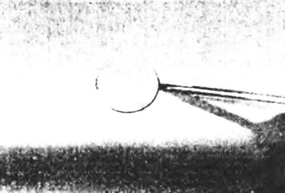 Рис. 25.3,а. Поддев отверткой, высвободите пластиковые крышки фиксирующий винтов бампера...